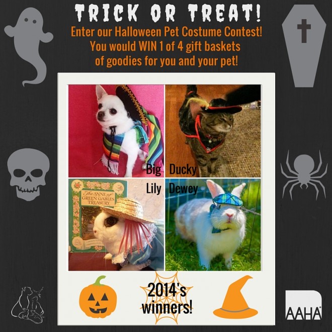 Halloween Pet Costume Contest